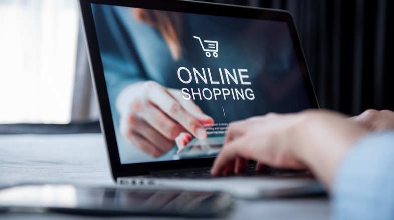 National SEO Revenue Growth for an Online Store